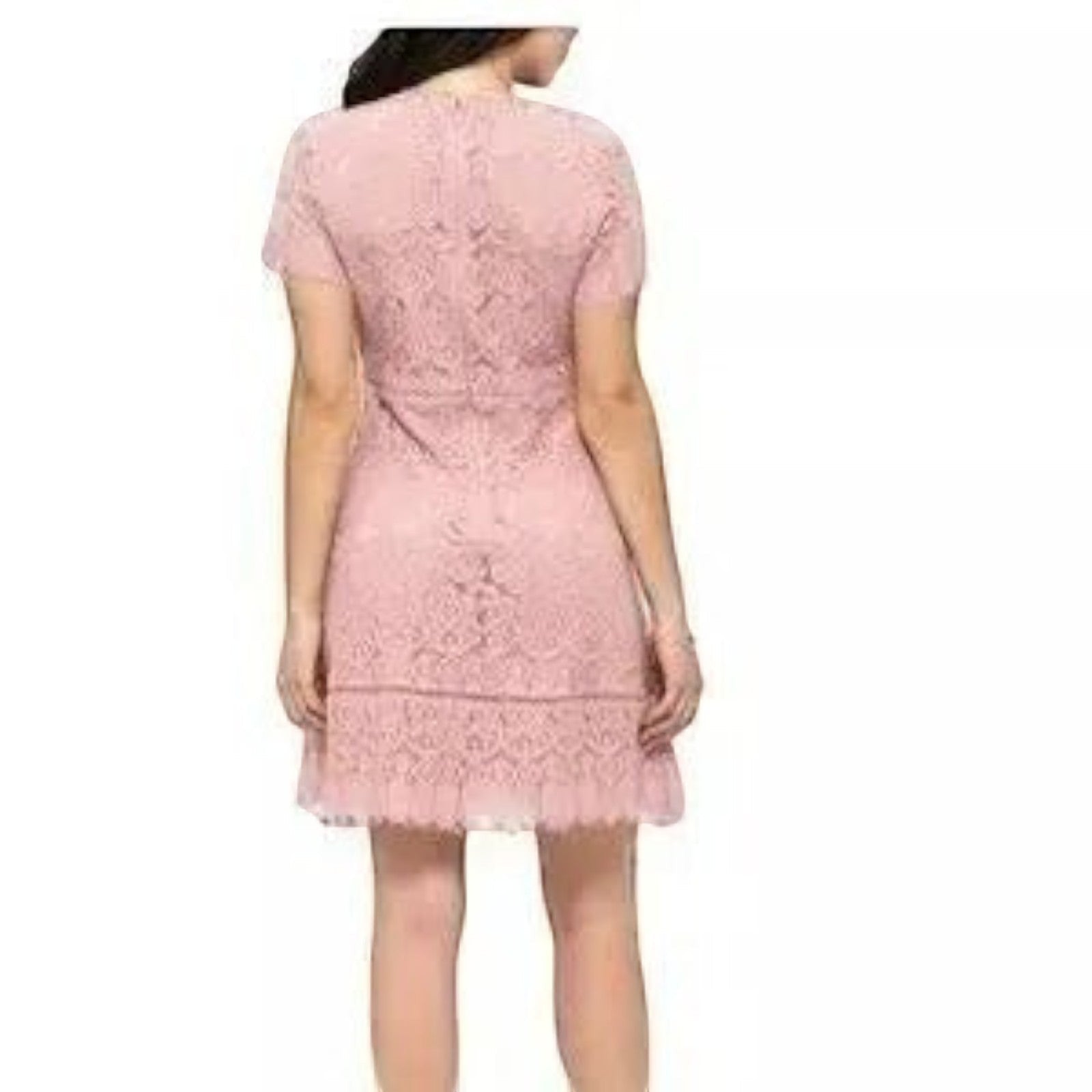 Yanet Collection Shop pink lace knee-length dress with short sleeves and scalloped hem, back view