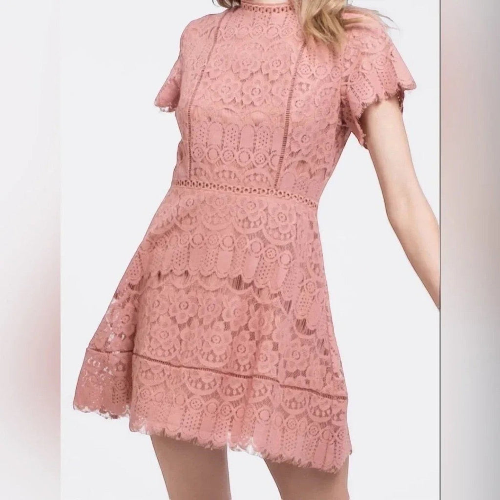 Yanet Collection Shop pink lace short sleeve dress with a fitted silhouette and charming scalloped hem detail.