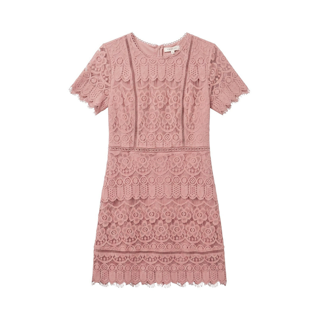 Yanet Collection Shop pink lace short sleeve dress with a fitted silhouette and elegant scalloped hem detail.