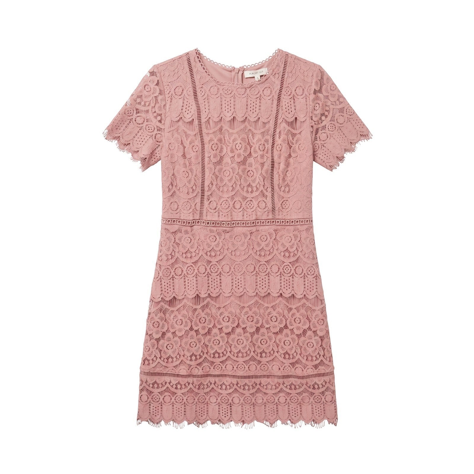 Yanet Collection Shop pink lace short sleeve dress with a fitted silhouette and elegant scalloped hem detail.
