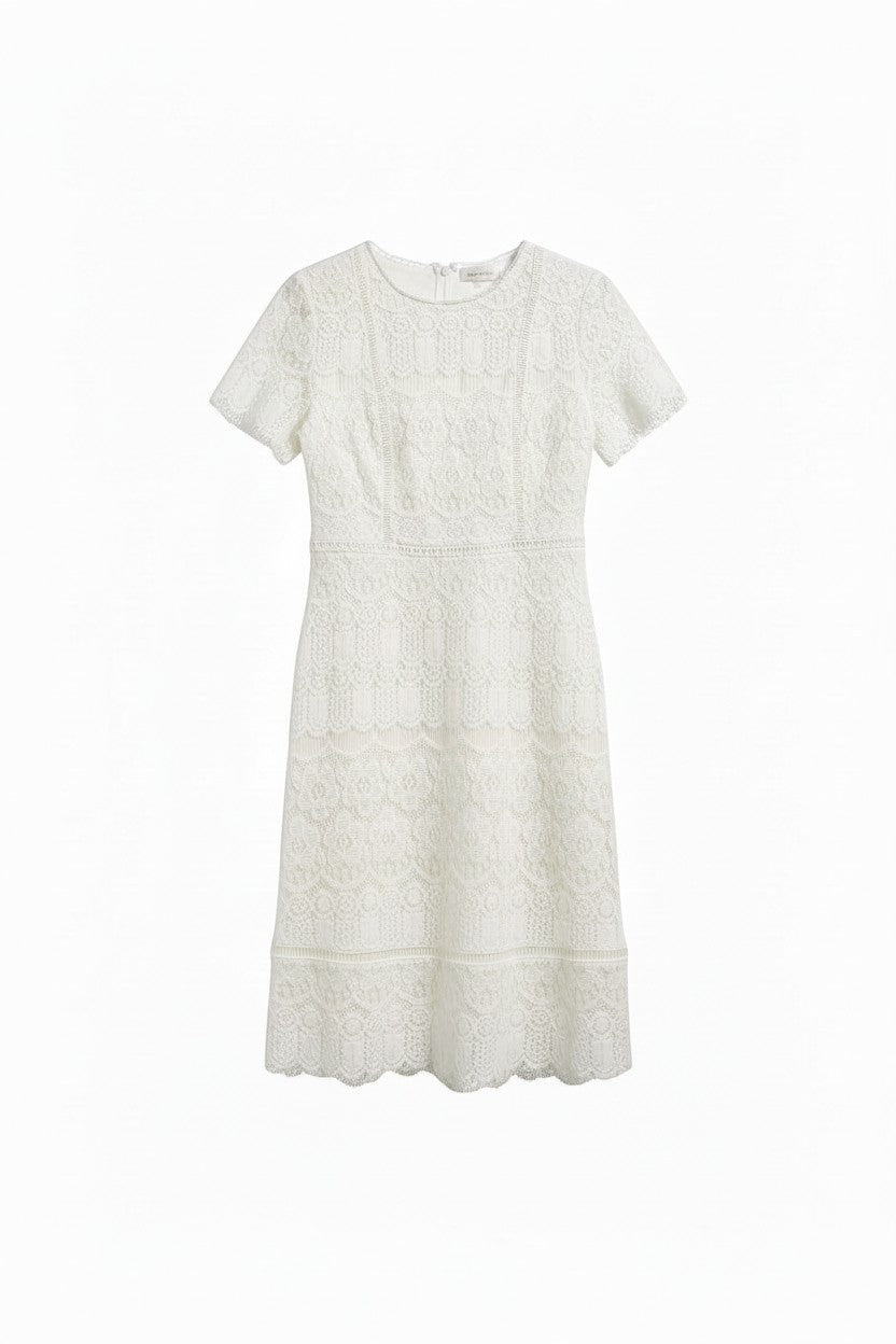 Yanet Collection Shop white short sleeve lace dress with a fitted silhouette and elegant scalloped hem detail.